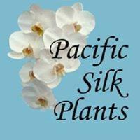 Pacific Silk Plants image 1